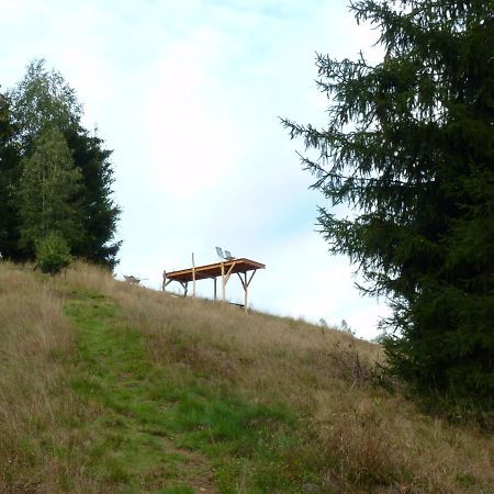 Ein Platz Fuer Ruhe Und Naturgenuss Sebnitz Exterior photo