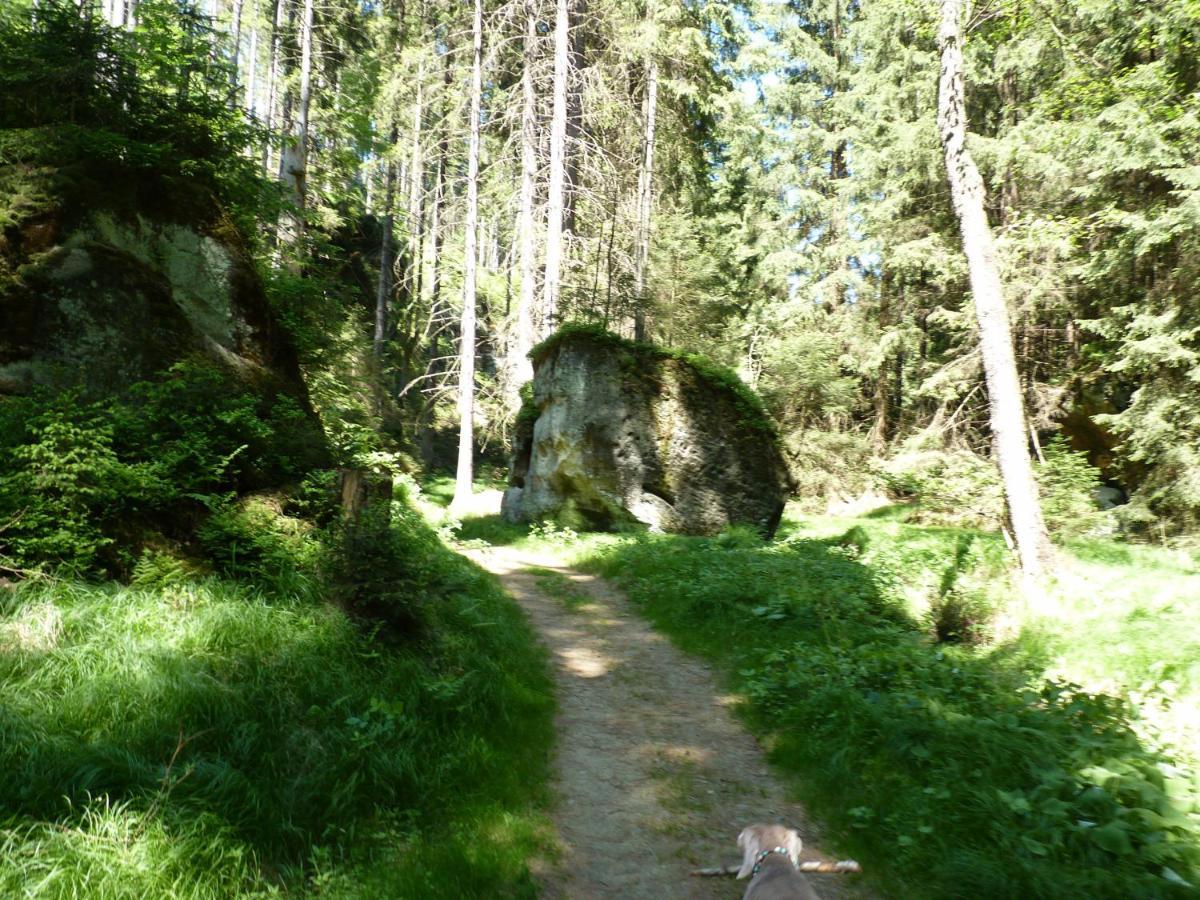 Ein Platz Fuer Ruhe Und Naturgenuss Sebnitz Exterior photo
