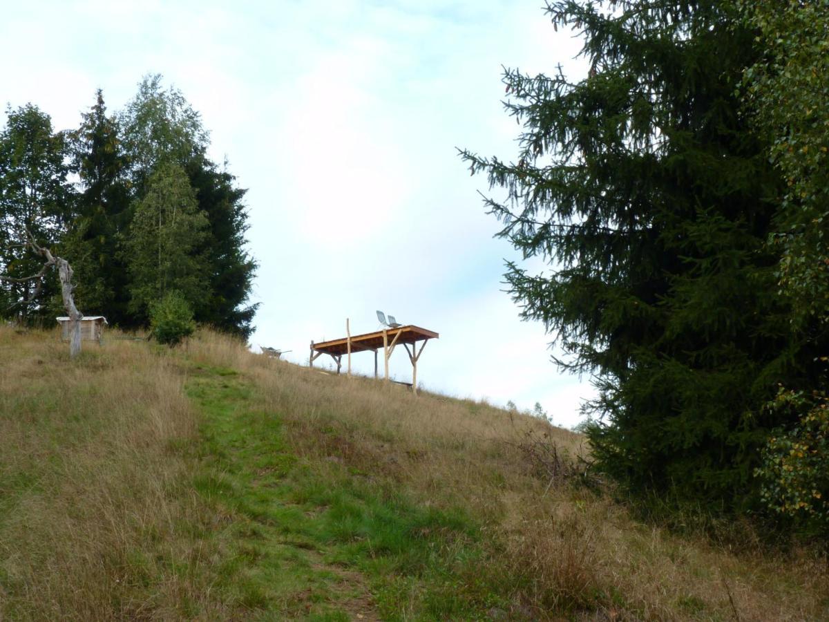 Ein Platz Fuer Ruhe Und Naturgenuss Sebnitz Exterior photo