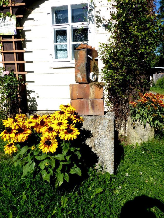 Ein Platz Fuer Ruhe Und Naturgenuss Sebnitz Exterior photo