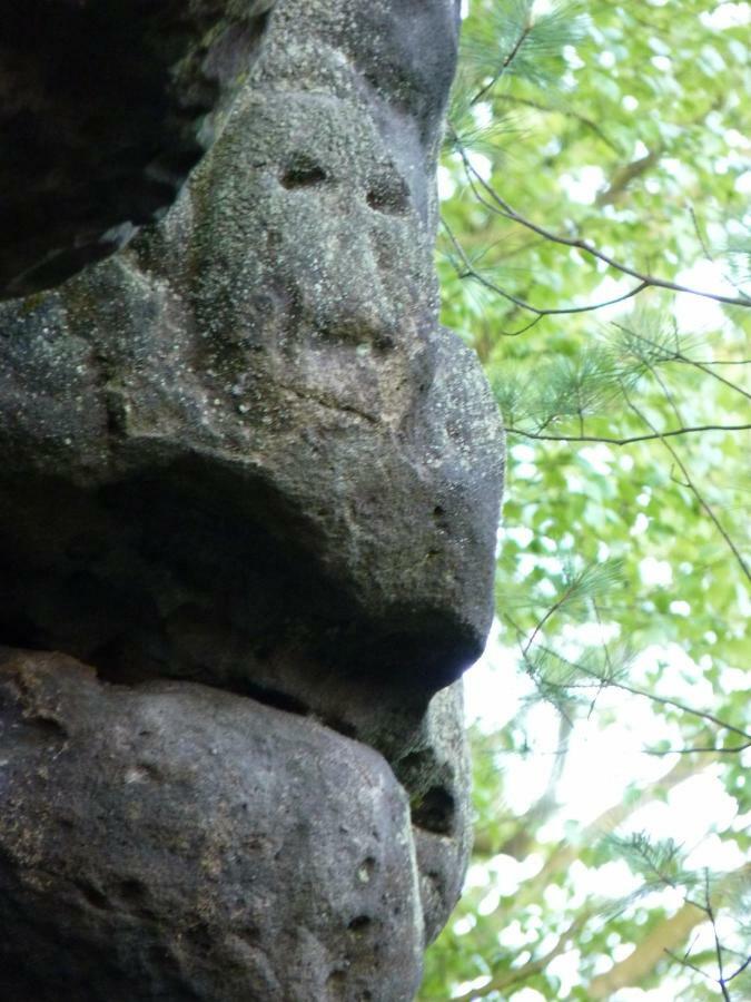 Ein Platz Fuer Ruhe Und Naturgenuss Sebnitz Exterior photo