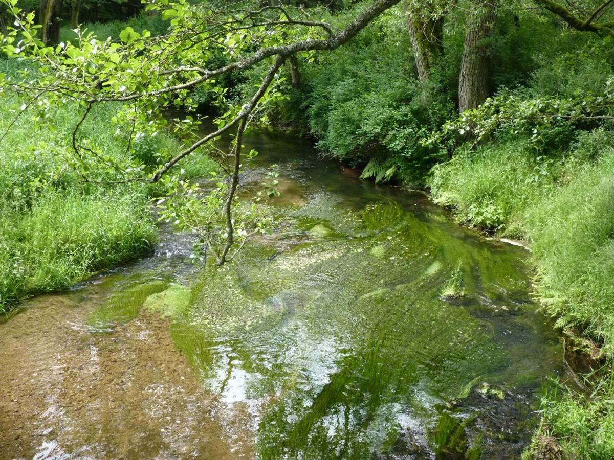Ein Platz Fuer Ruhe Und Naturgenuss Sebnitz Exterior photo